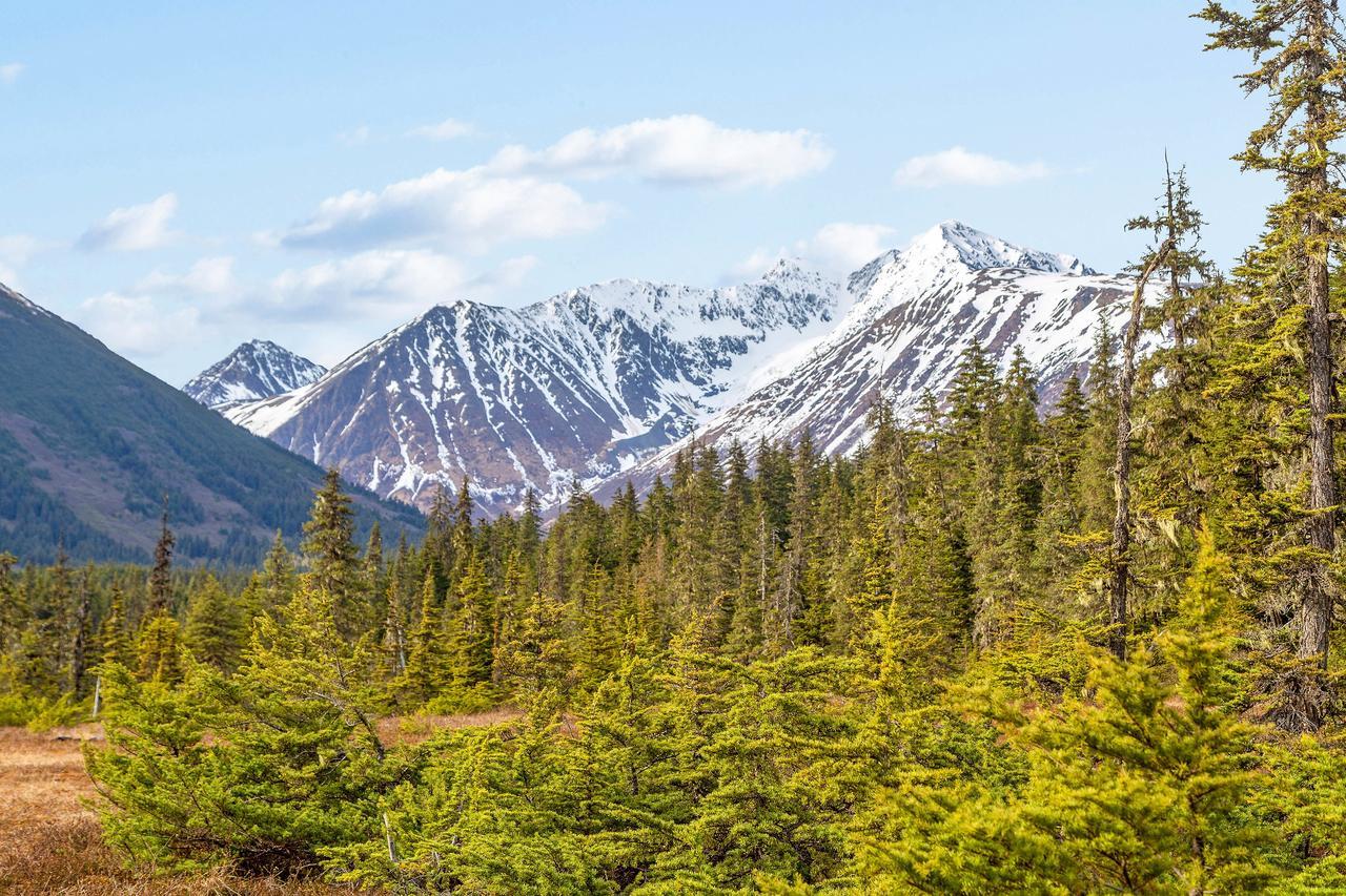 Snowbird Chalet #8 Гирдвуд Экстерьер фото